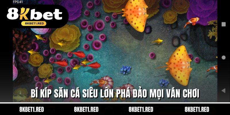 Bí kíp săn cá siêu lớn phá đảo mọi ván chơi