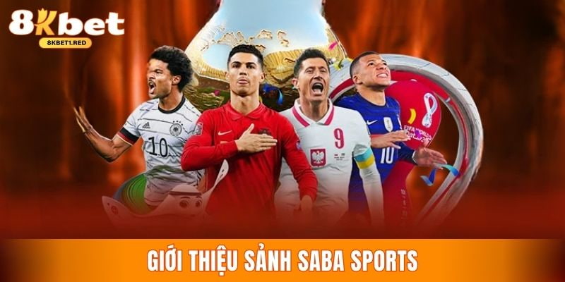 Thông tin giới thiệu sảnh saba sports siêu hot hit